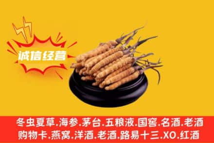 自贡回收冬虫夏草